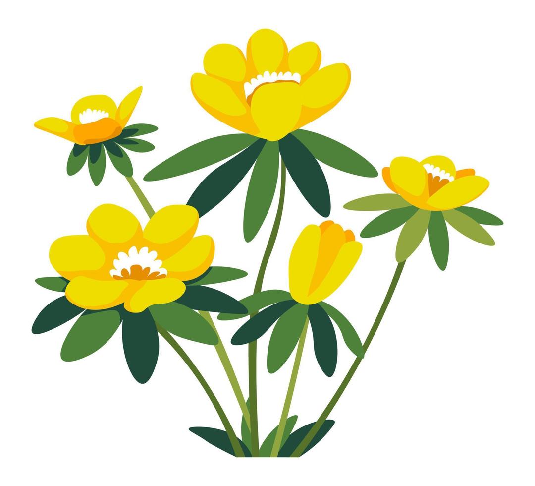 Blooming flowers, flourishing plants with leaves vector