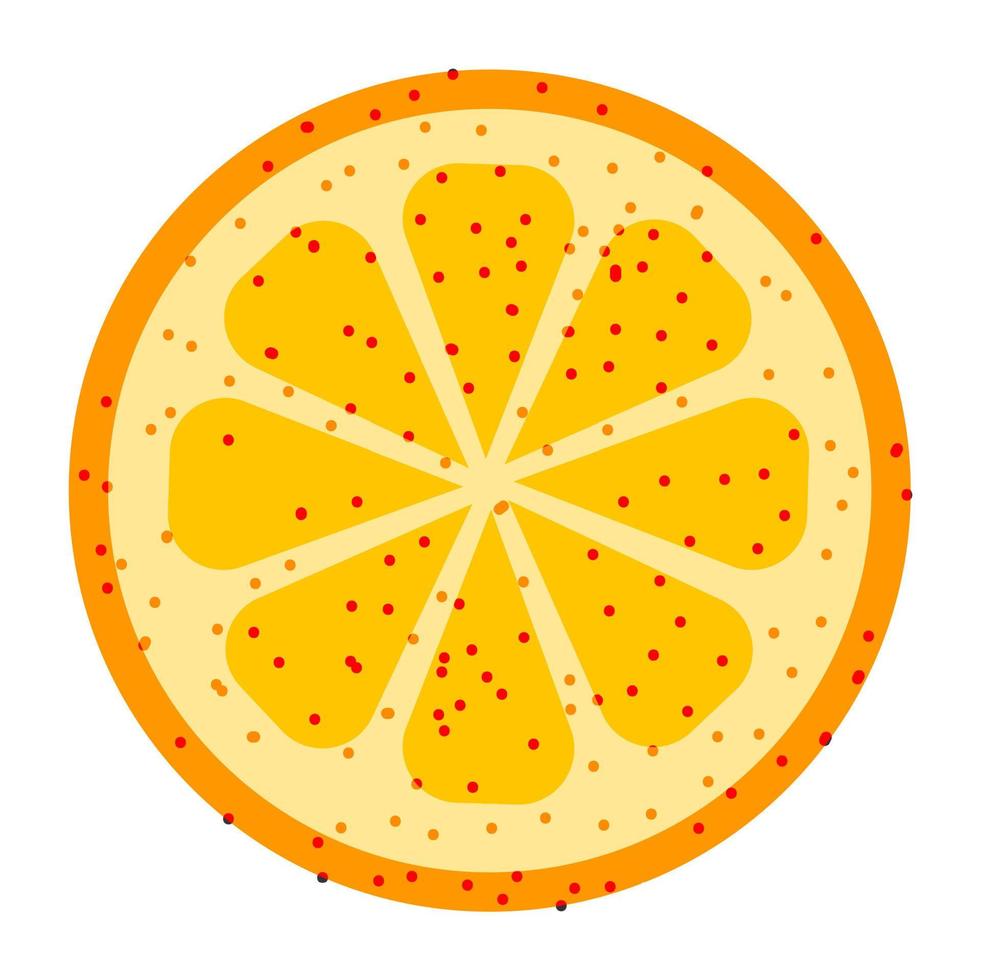 Slice of mandarin, orange or citrus fruit vector