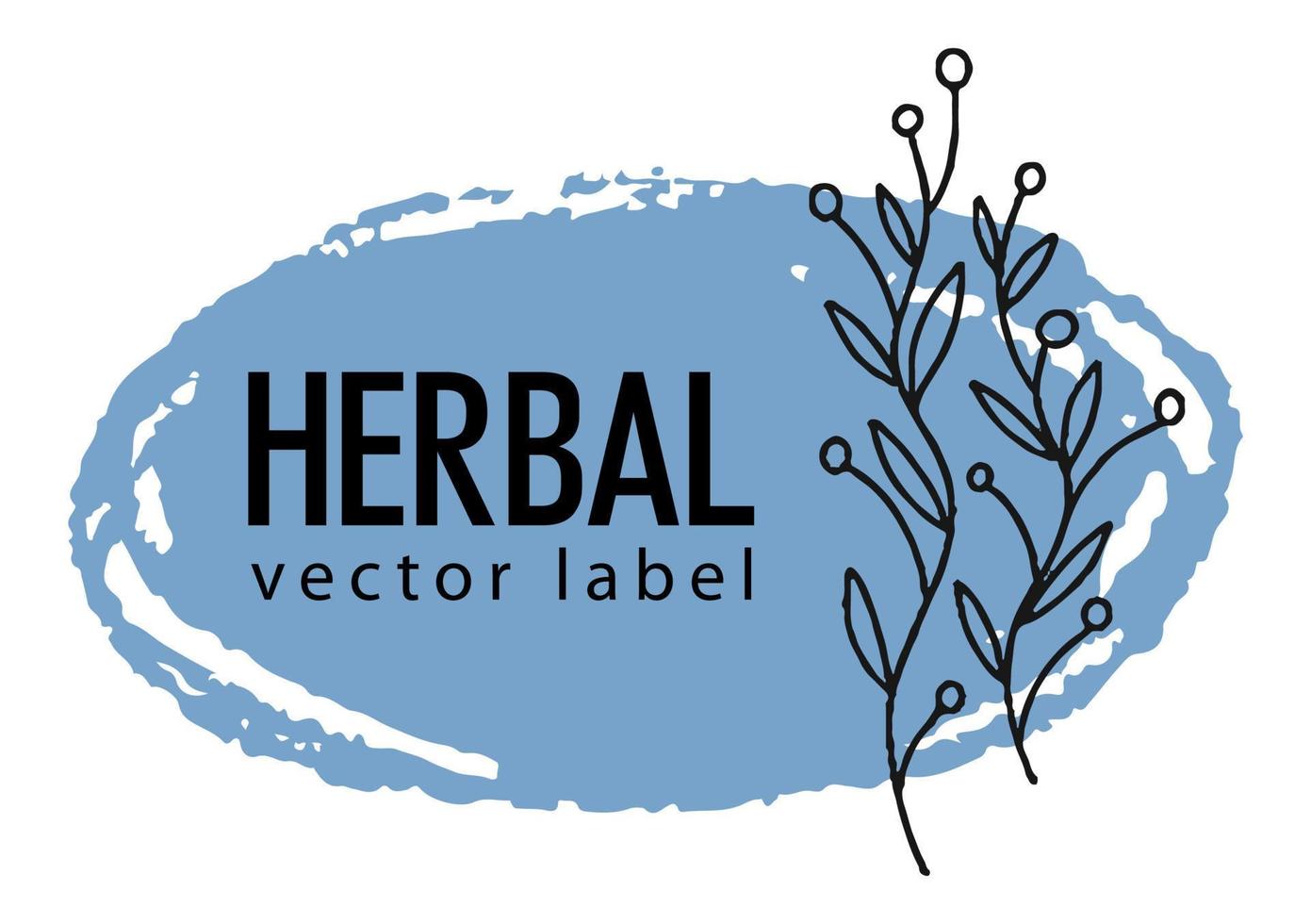 Herbal label, banner with foliage and botany plant vector
