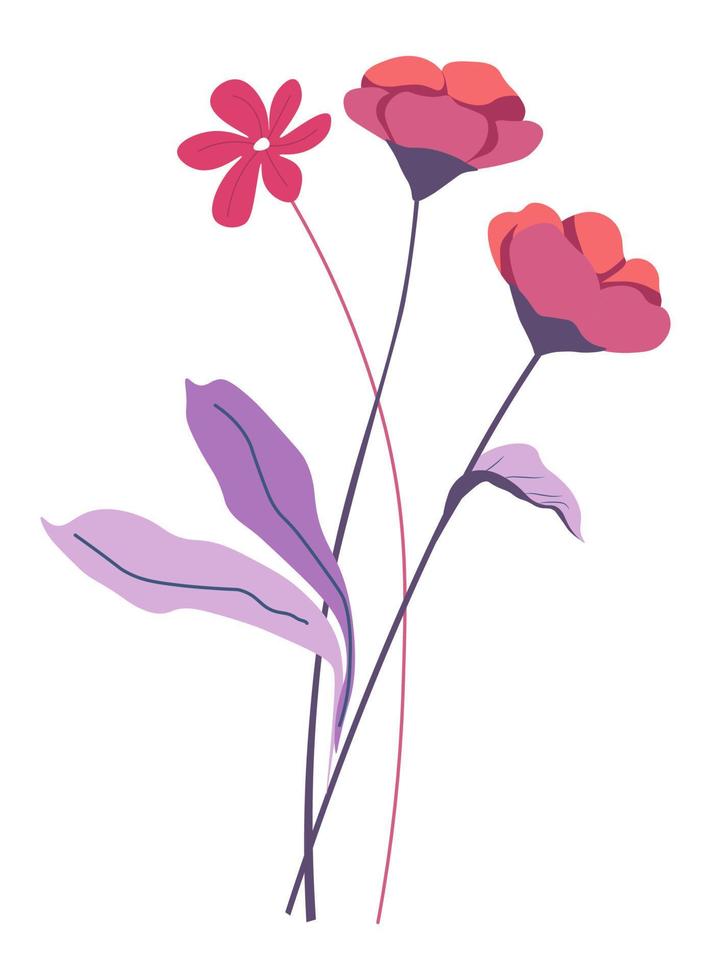 ramo de flores, flores silvestres, amapolas y margaritas vector