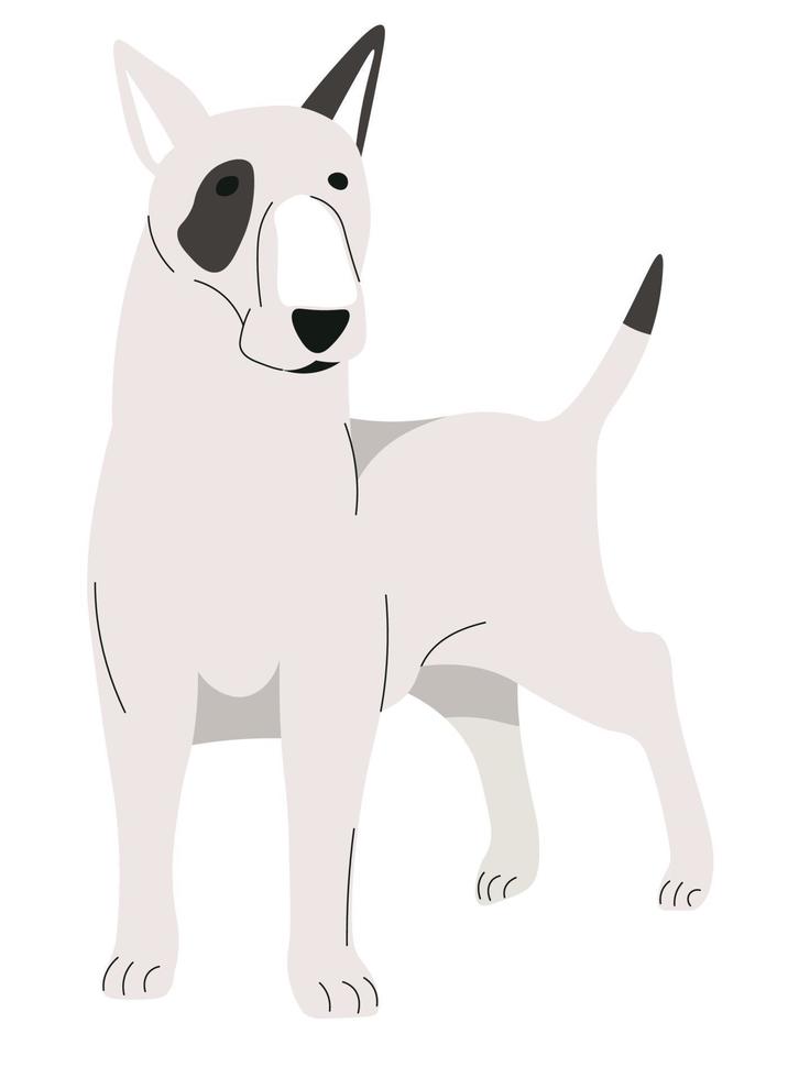 bull terrier raza de perros, cachorro animal canino vector