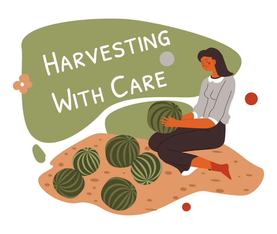 Harvesting with care, homegrown watermelons vector