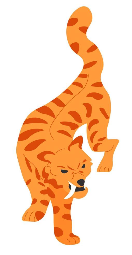 tigre peligroso animal felino, naturaleza salvaje vector