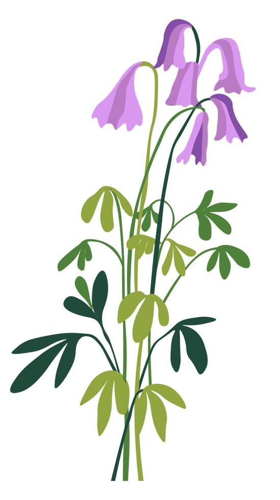 Wildflower in blossom, blooming flower vector