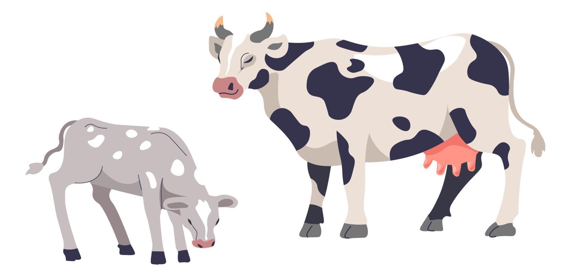 Livestock breeding, cattle cow and calf animals vector