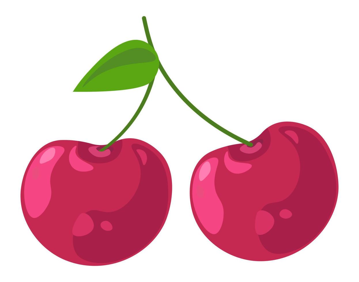 Ripe cherries, tasty fruit ingredient dessert vector