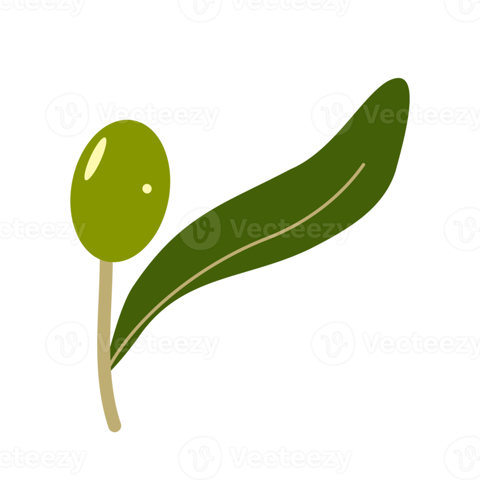 green olive fruit with leave 17744446 PNG