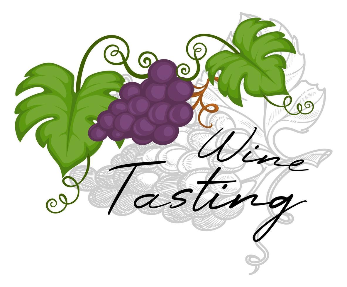 Wine tasting and alcoholic beverage degustation vector