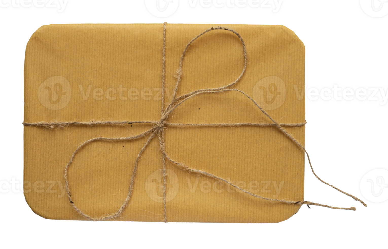 Brown gift box with rustic rope isolated png