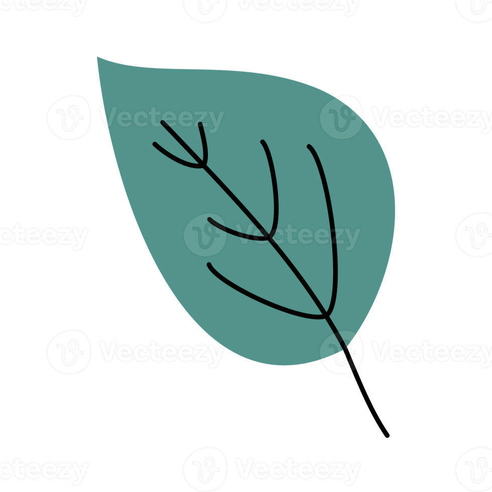 illustration of a leaf png