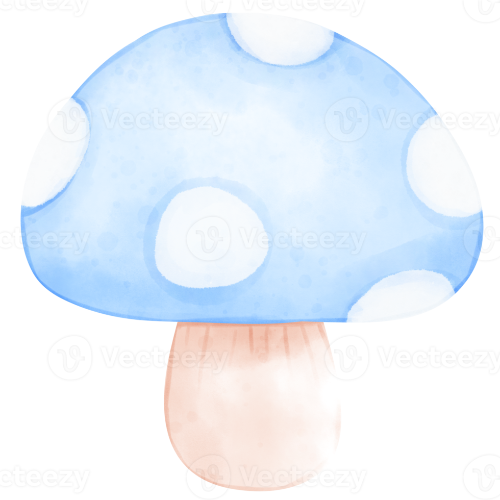 Cute Mushroom Watercolor Illustration png