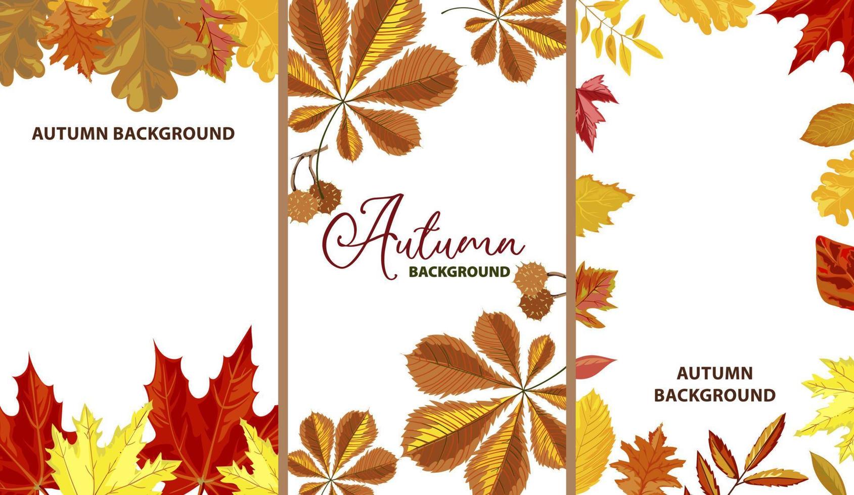 Autumn background and empty banners with leaves vector