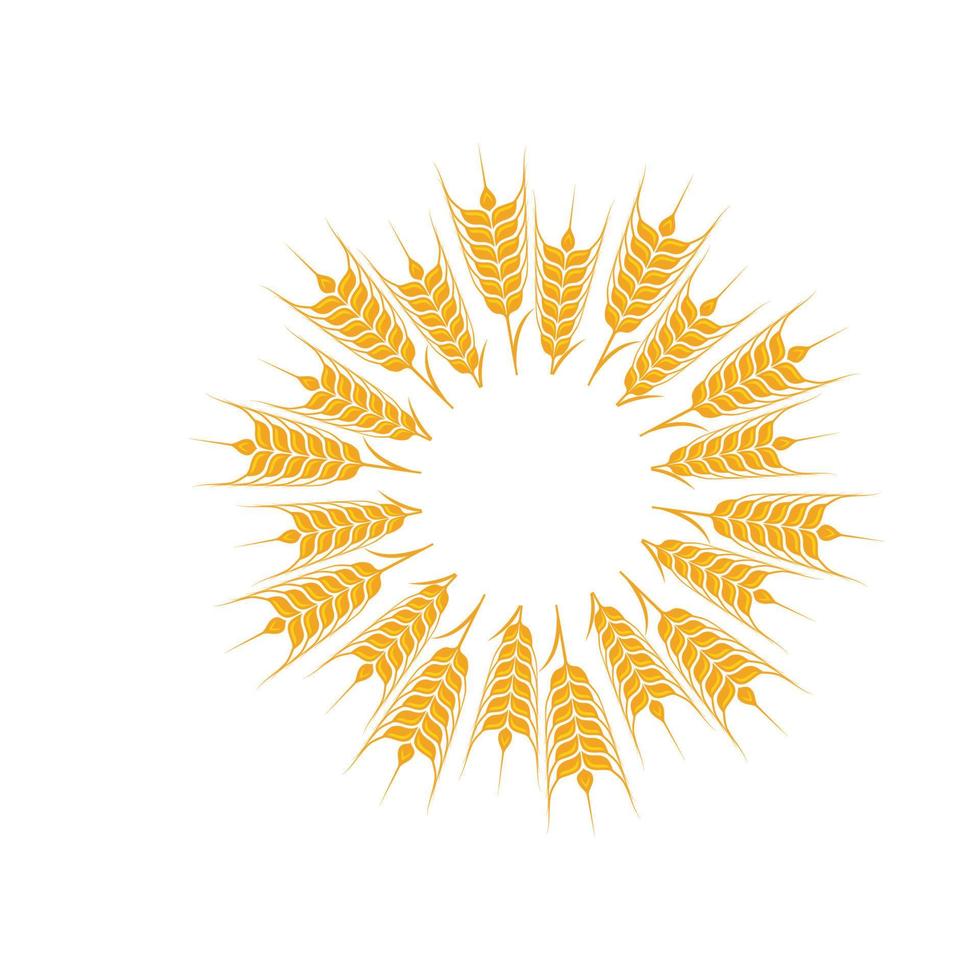Agriculture wheat vector