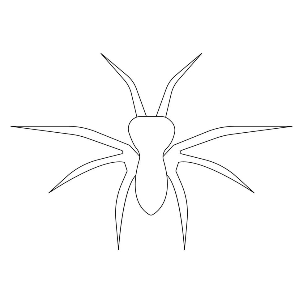 vector de ilustración de icono de araña