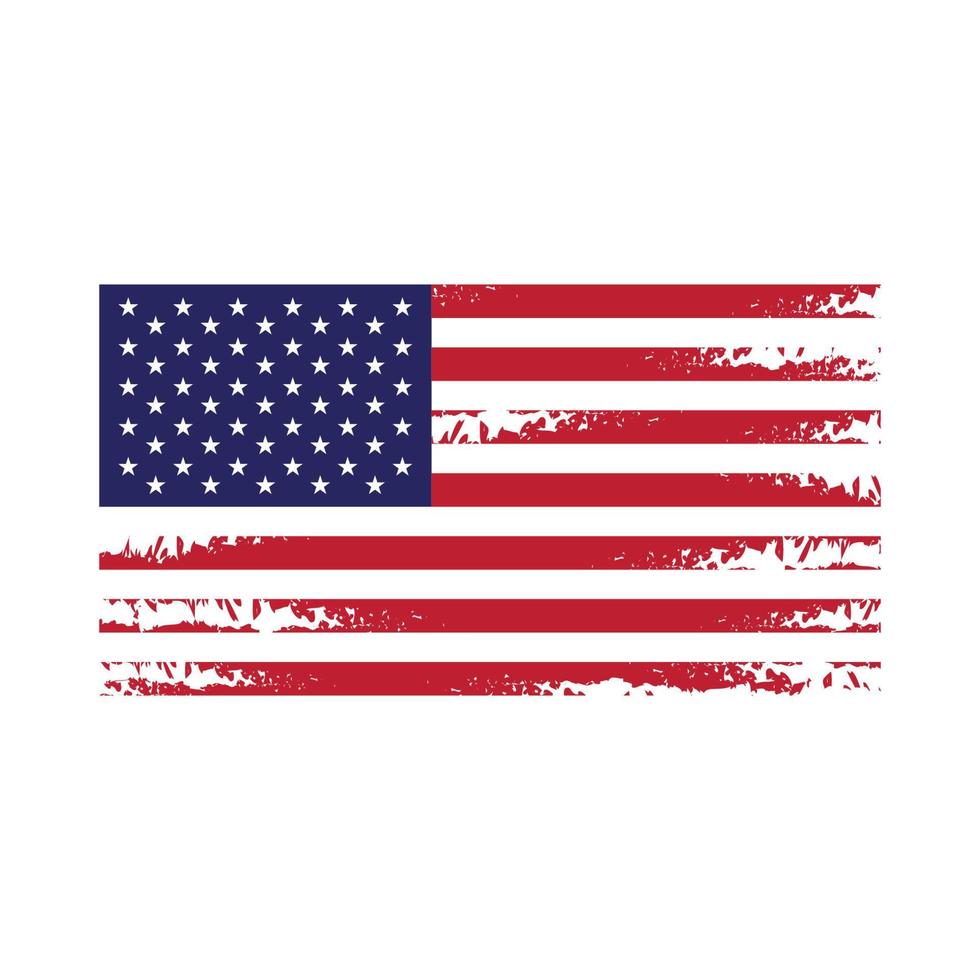 Flag american vector icon illustration