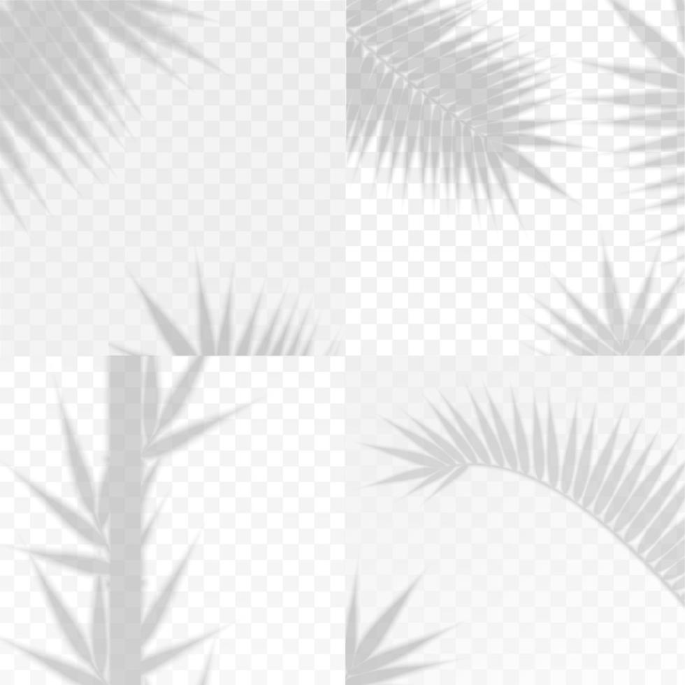 hojas de bambú y ramas de palma efecto superpuesto conjunto de sombras transparentes. vector