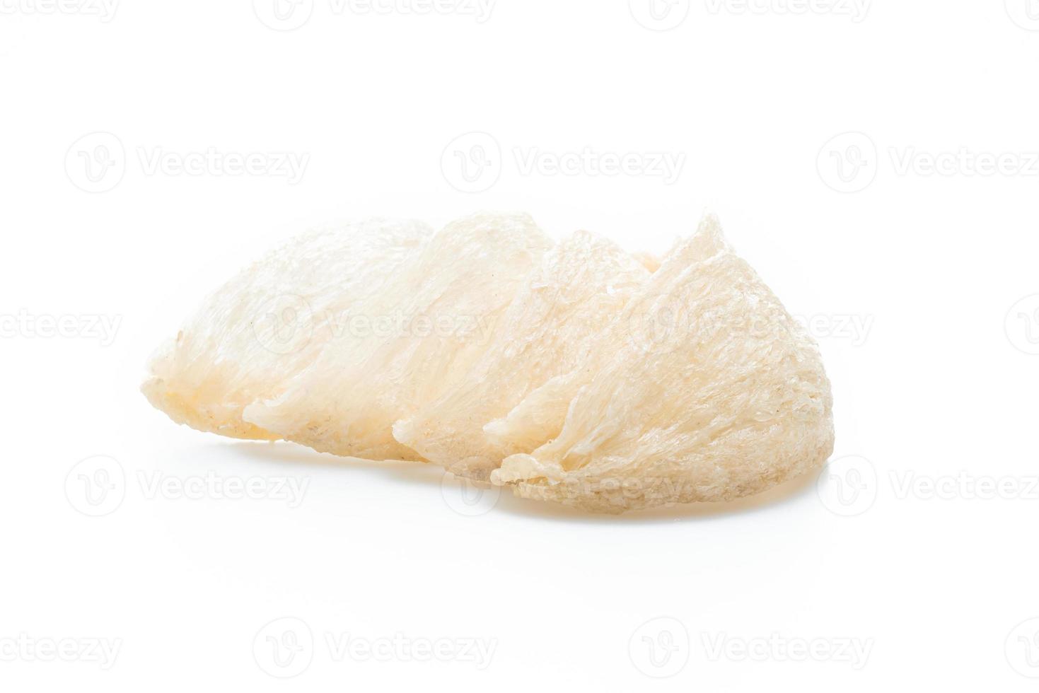 Fresh edible bird's nest or Swallow nest raw material cuisine expensive food for healthy photo