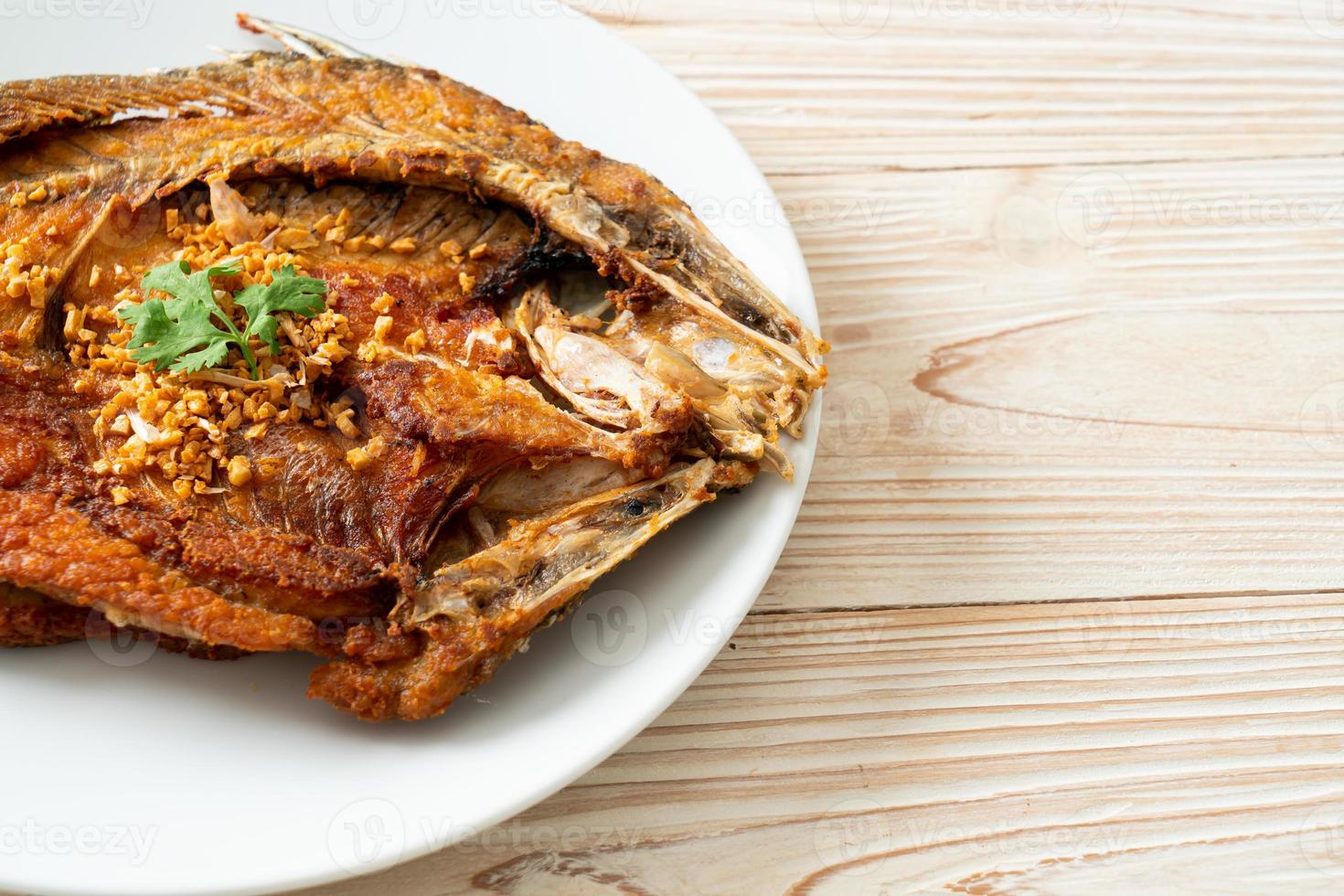 Fried Sea Bass Fish with Garlic photo