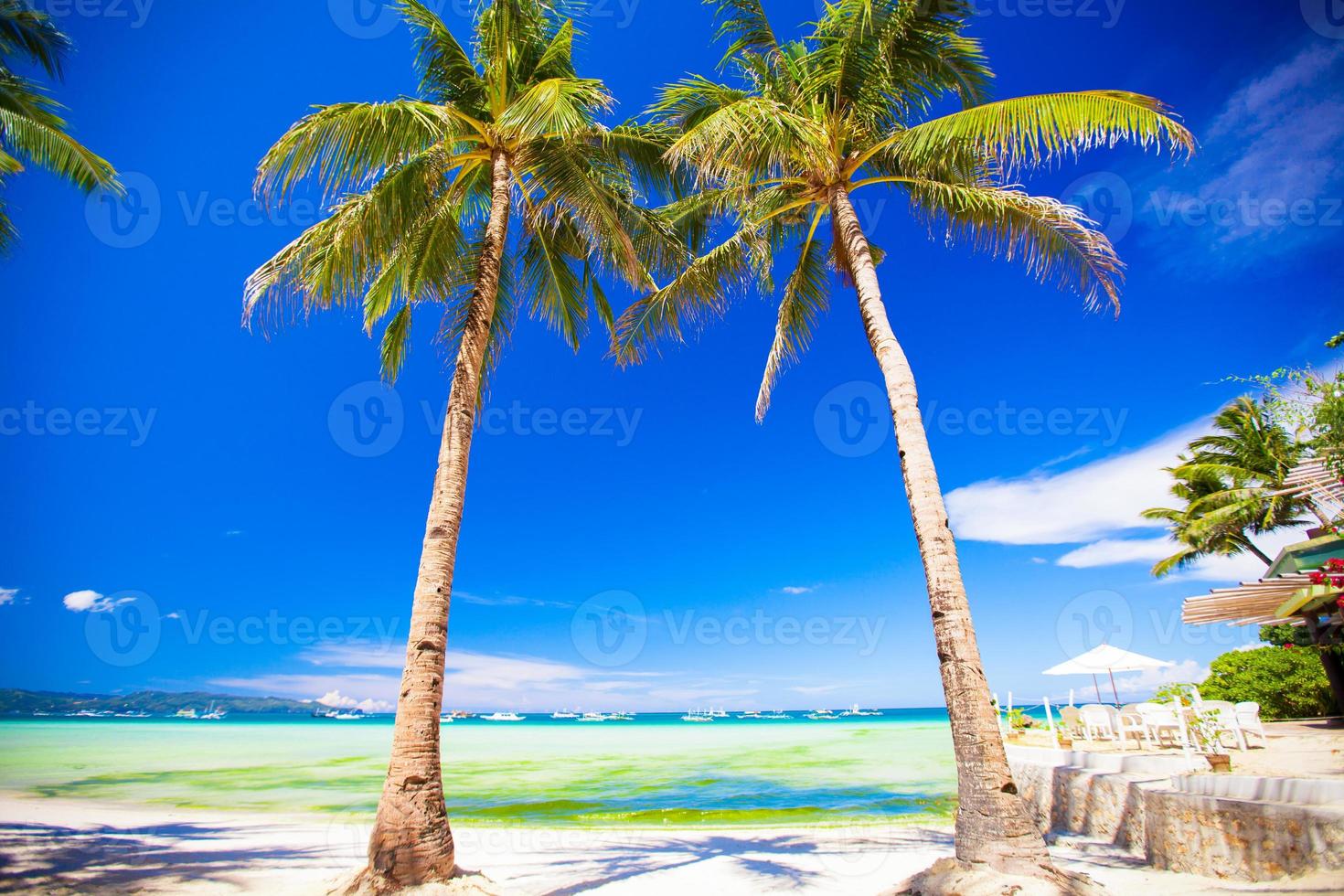 Tropical beach with beautiful palms and white sand photo