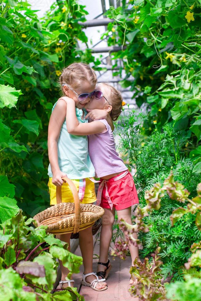 Cute little girls collecting crop cucumbers in greenhouse photo