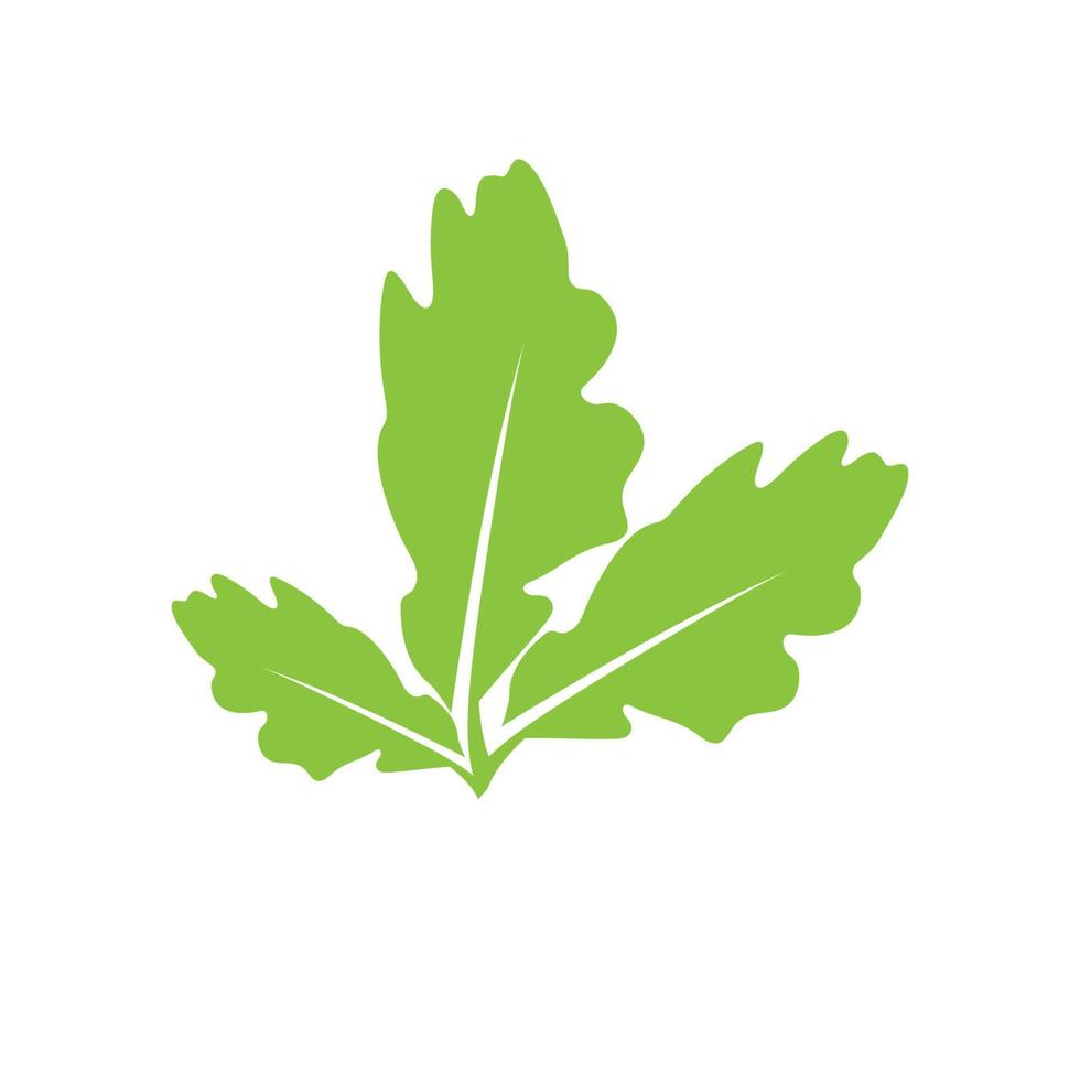 Green leaf illustration nature logo and symbol design vector