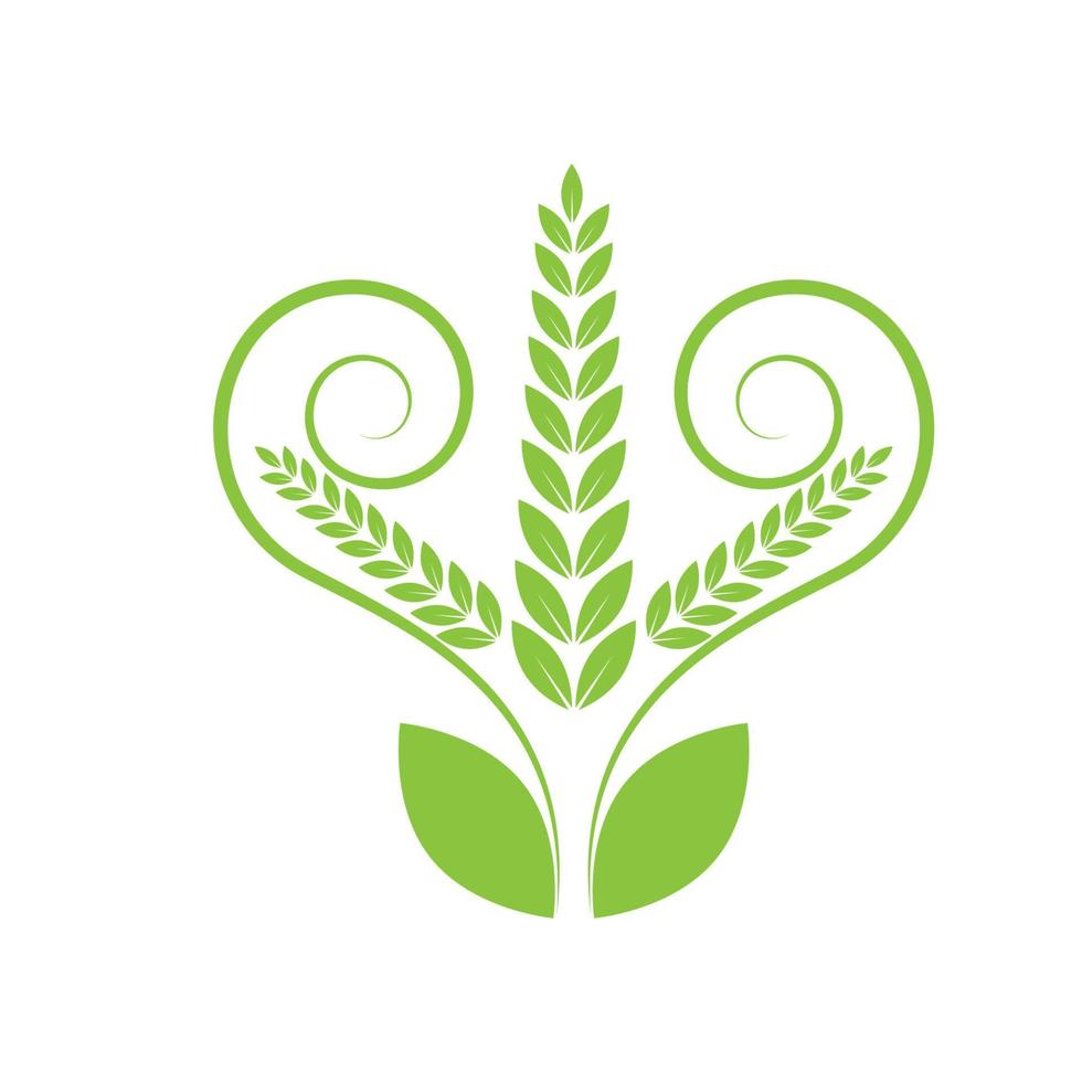Green leaf illustration nature logo and symbol design vector