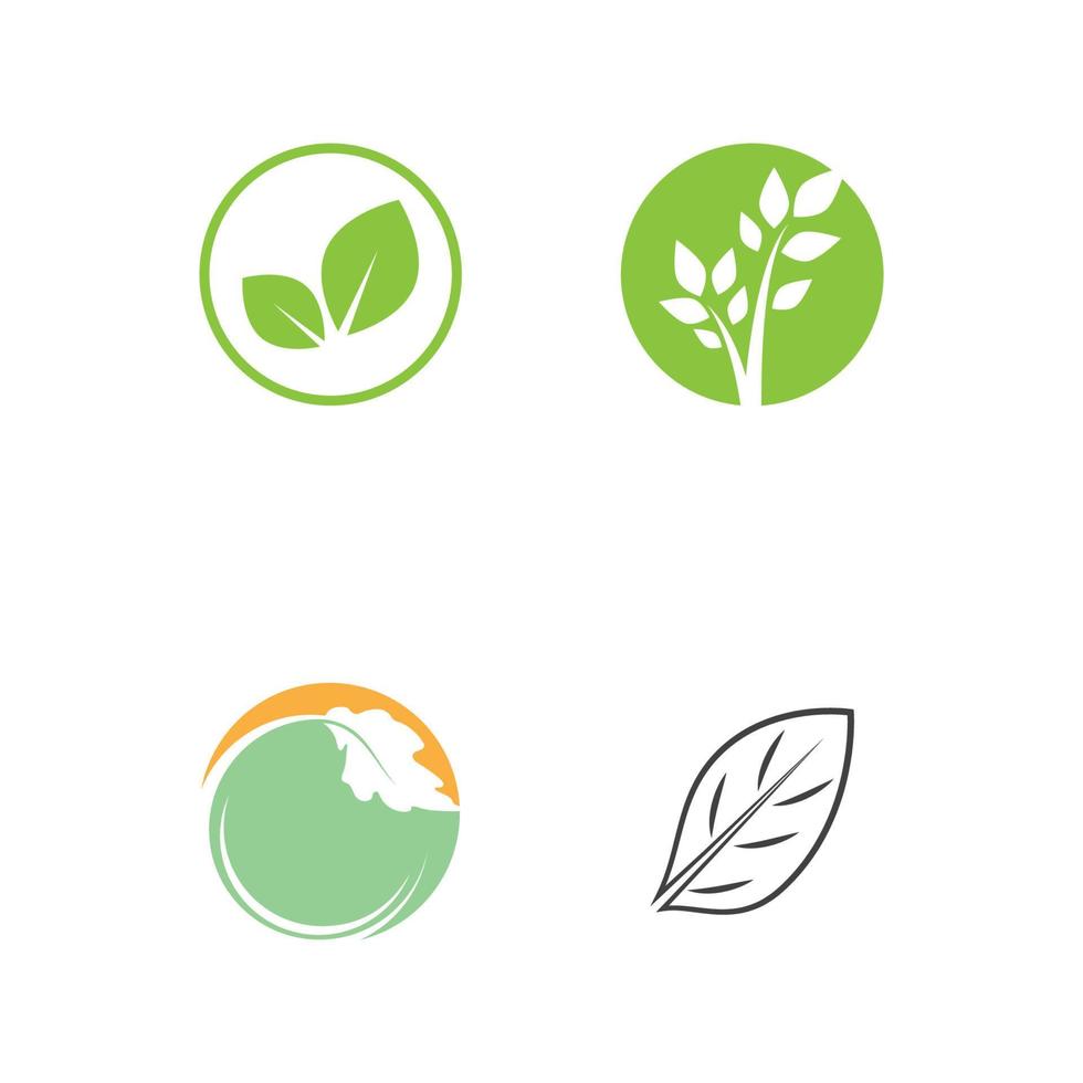 Leaf and Shutter Lens Aperture for Nature Photographer logo design inspiration vector