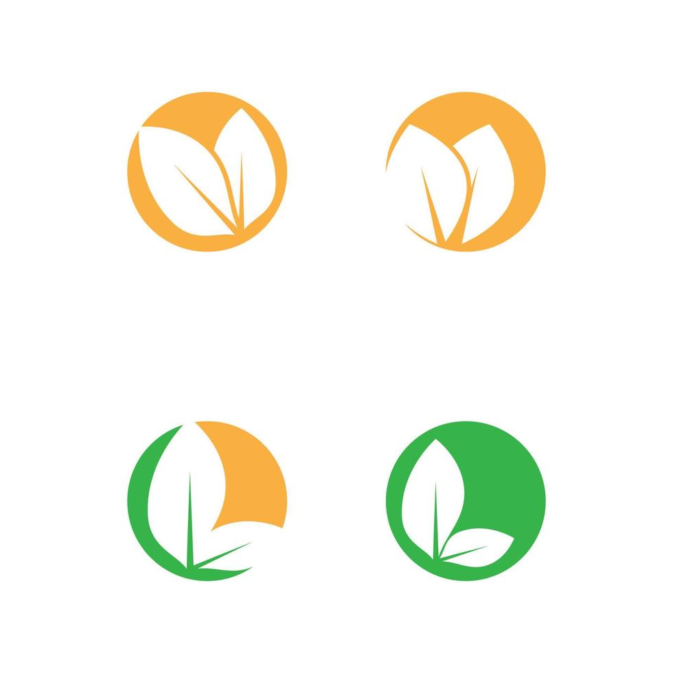 Leaf and Shutter Lens Aperture for Nature Photographer logo design inspiration vector