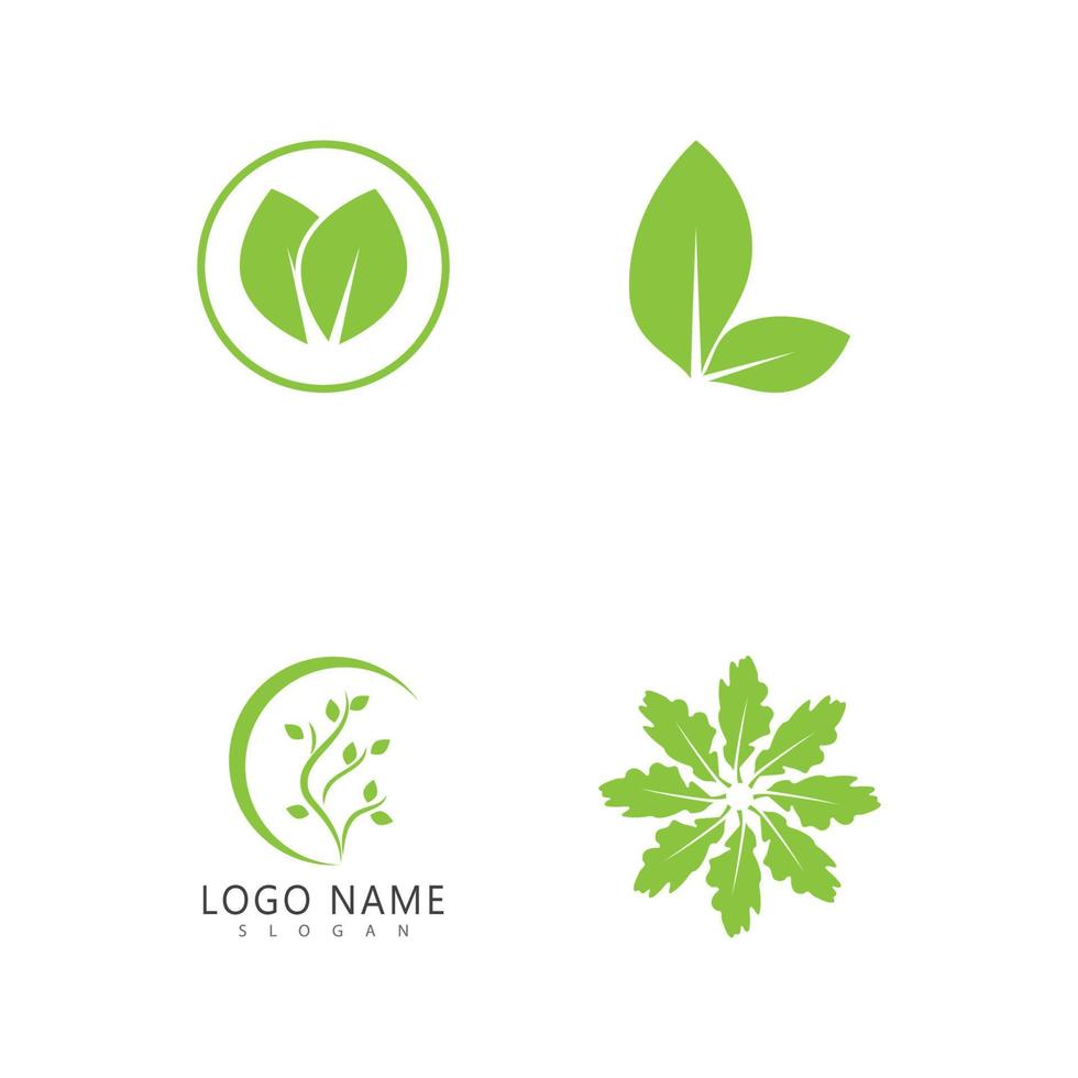 Leaf and Shutter Lens Aperture for Nature Photographer logo design inspiration vector