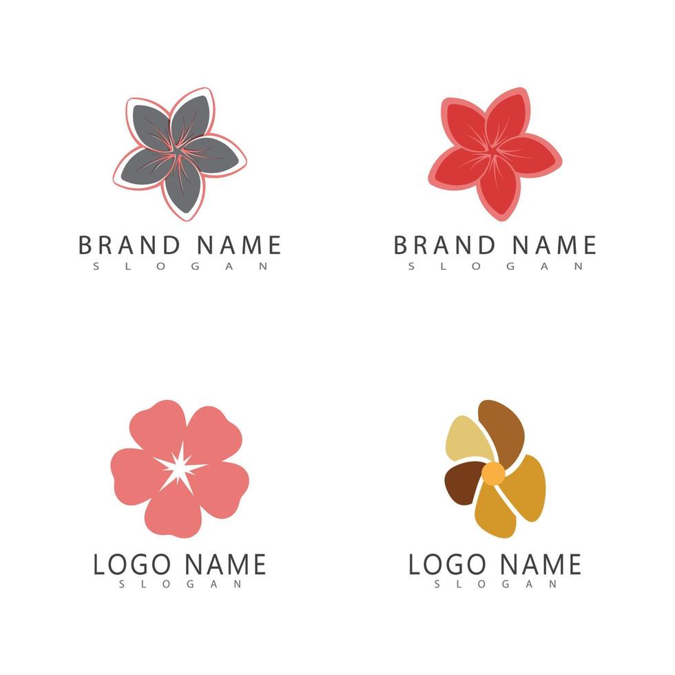 Beauty plumeria icon flowers design illustration symbol vector