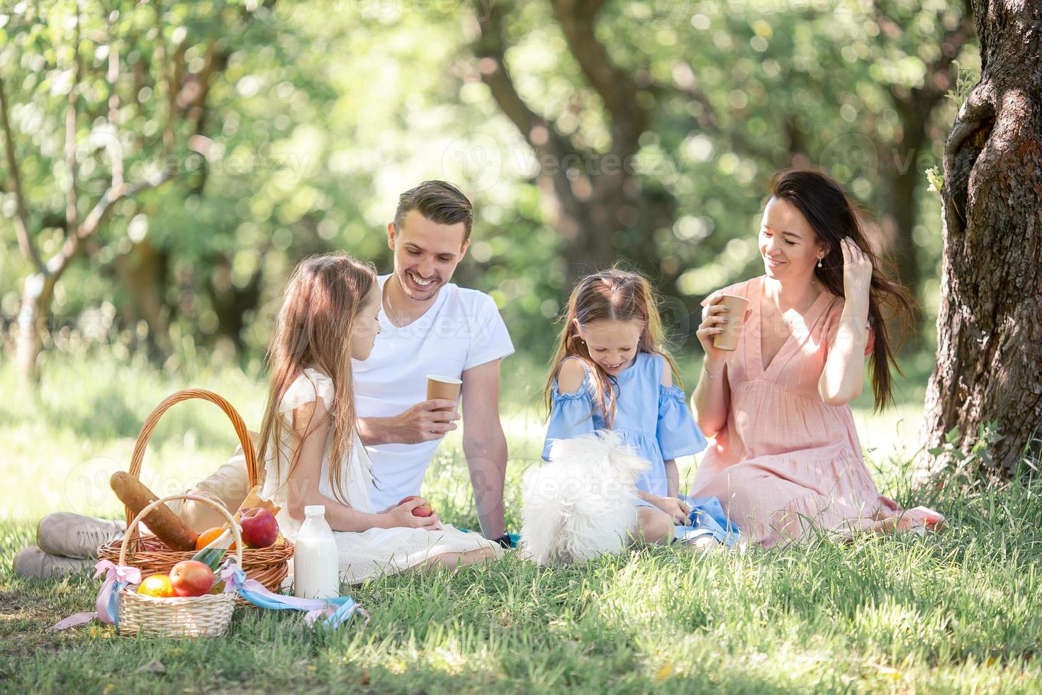 Happy family on a picnic in the park on a sunny day photo