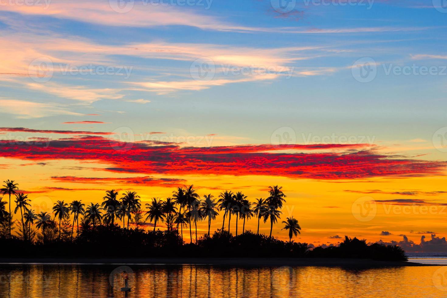 Dark silhouettes of palm trees and amazing cloudy sky at sunset photo