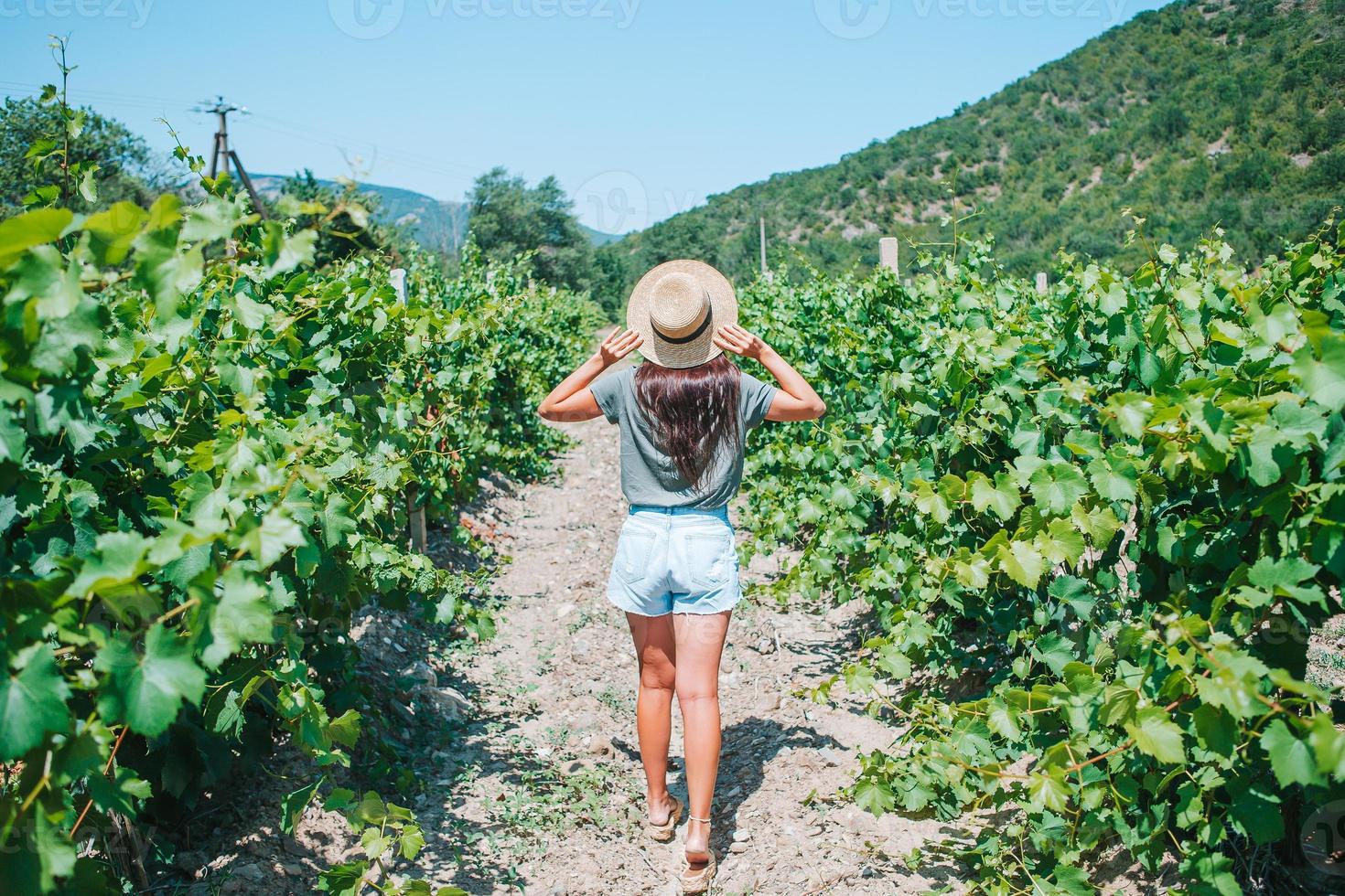 Woman in the vineyard in sun day photo