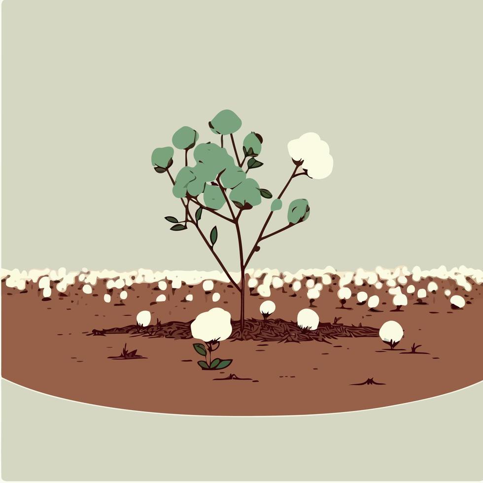 cultivo de algodón en granja de producción agrícola vector