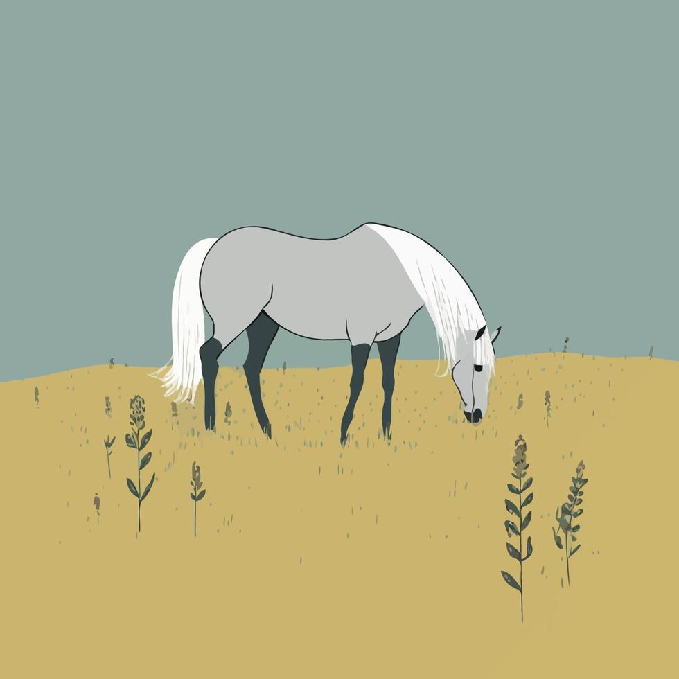 hermoso caballo adulto de pie libre en un campo vector