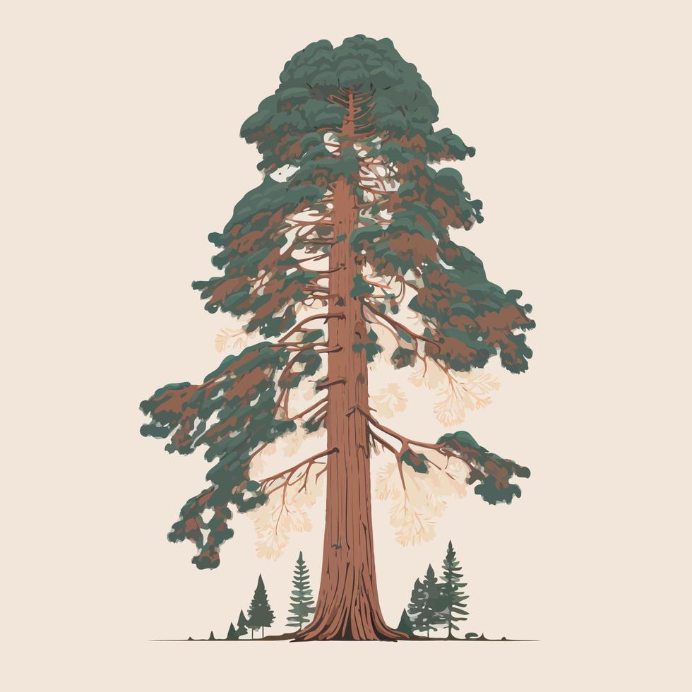 adult giant sequoia tree vector