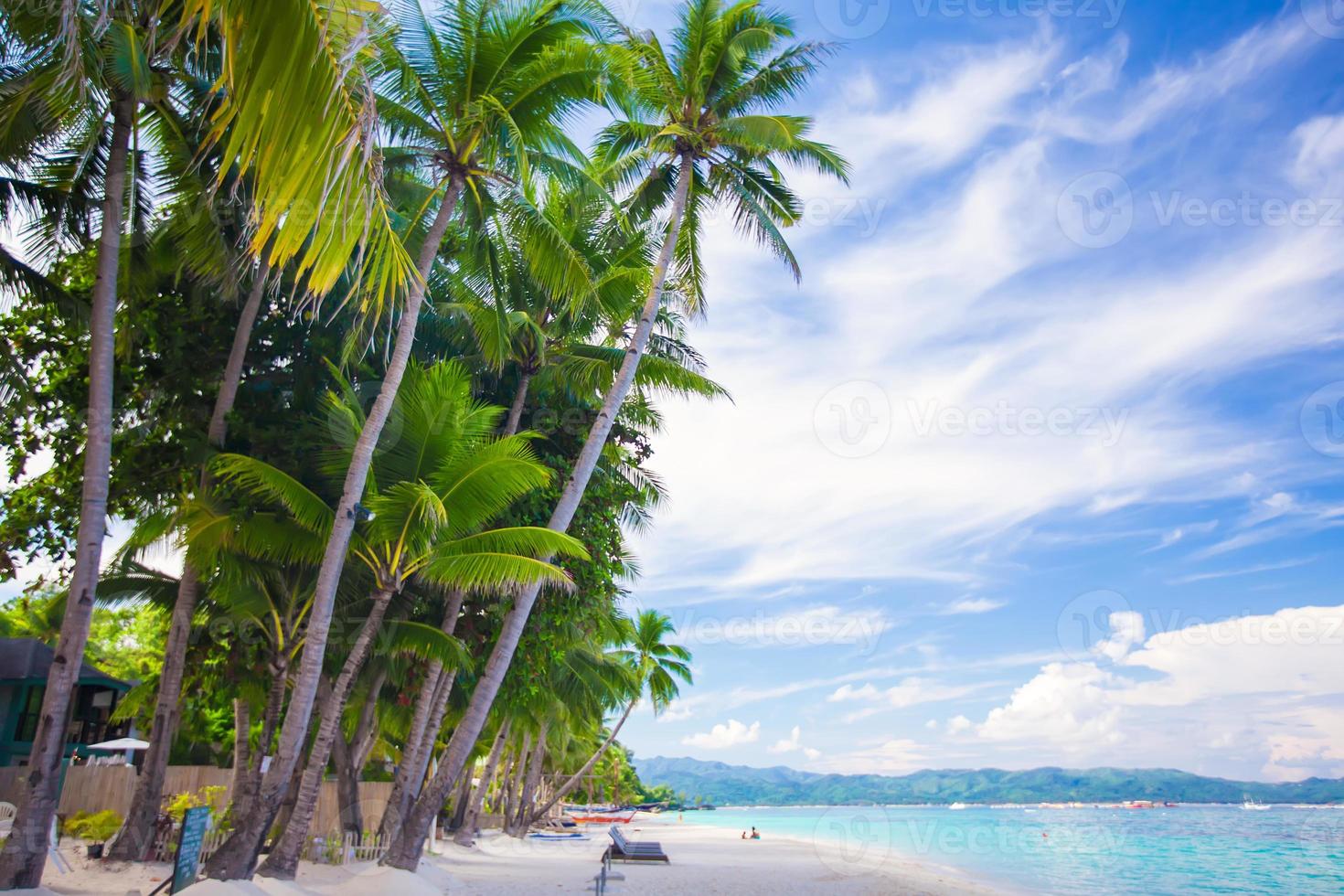 Tropical beach with beautiful palms and white sand, Philippines photo