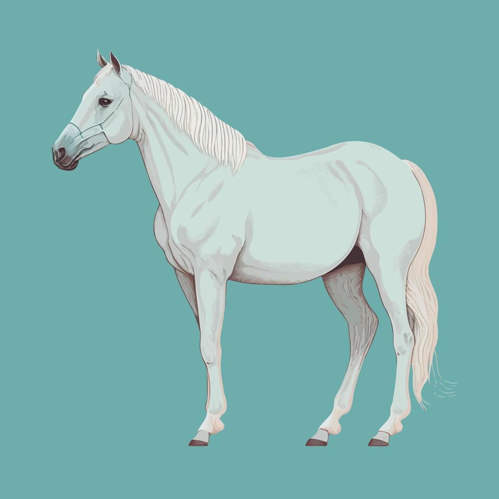 beautiful standing adult white horse vector