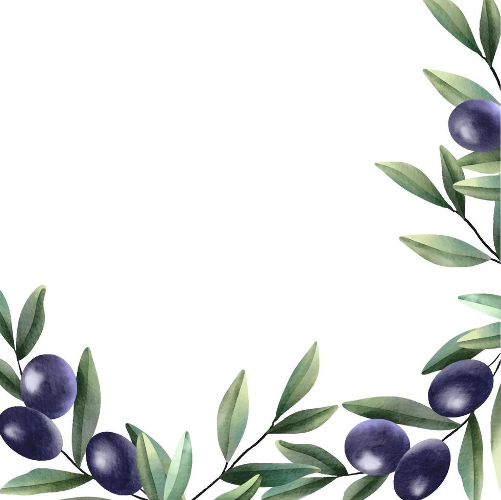 Olive branch frame. Hand drawn watercolor illustration vector