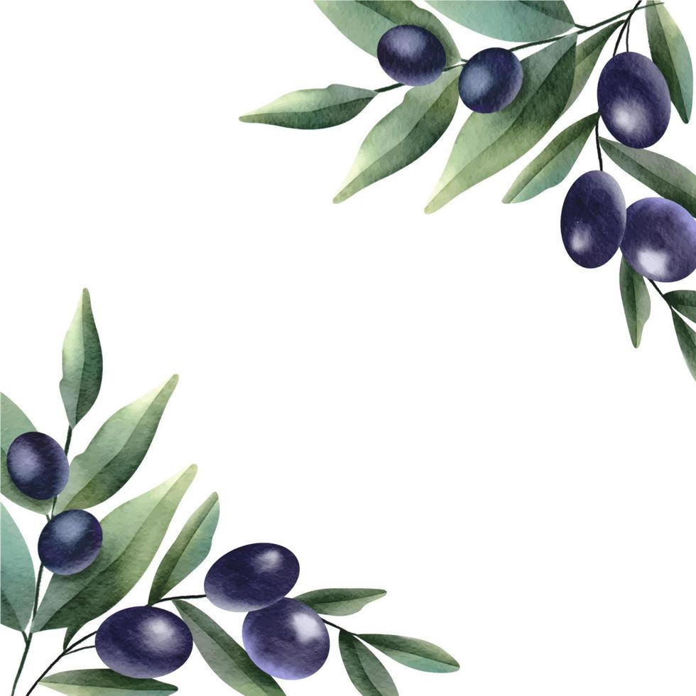 Olive branch frame. Hand drawn watercolor illustration vector