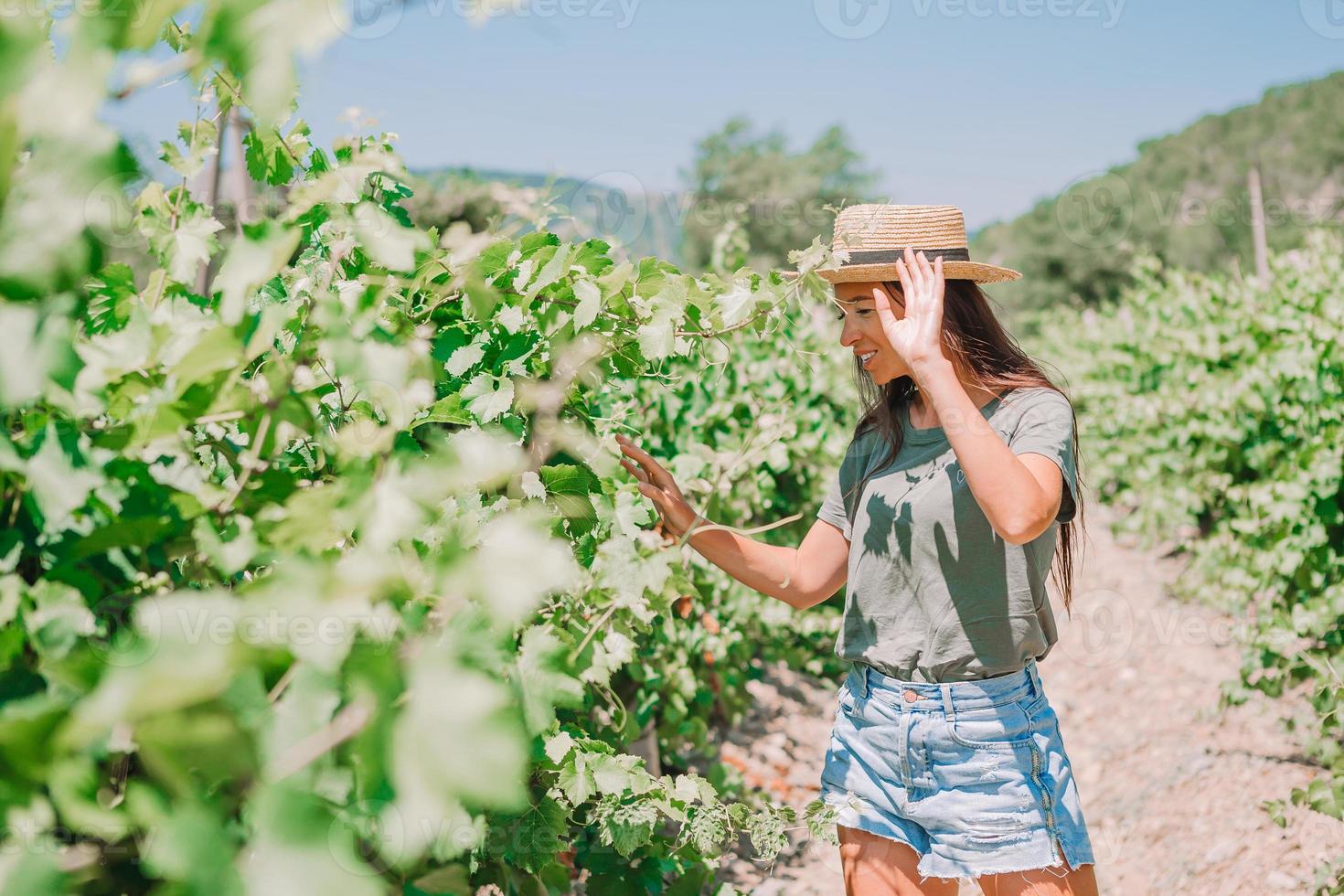 Woman in the vineyard in sun day photo