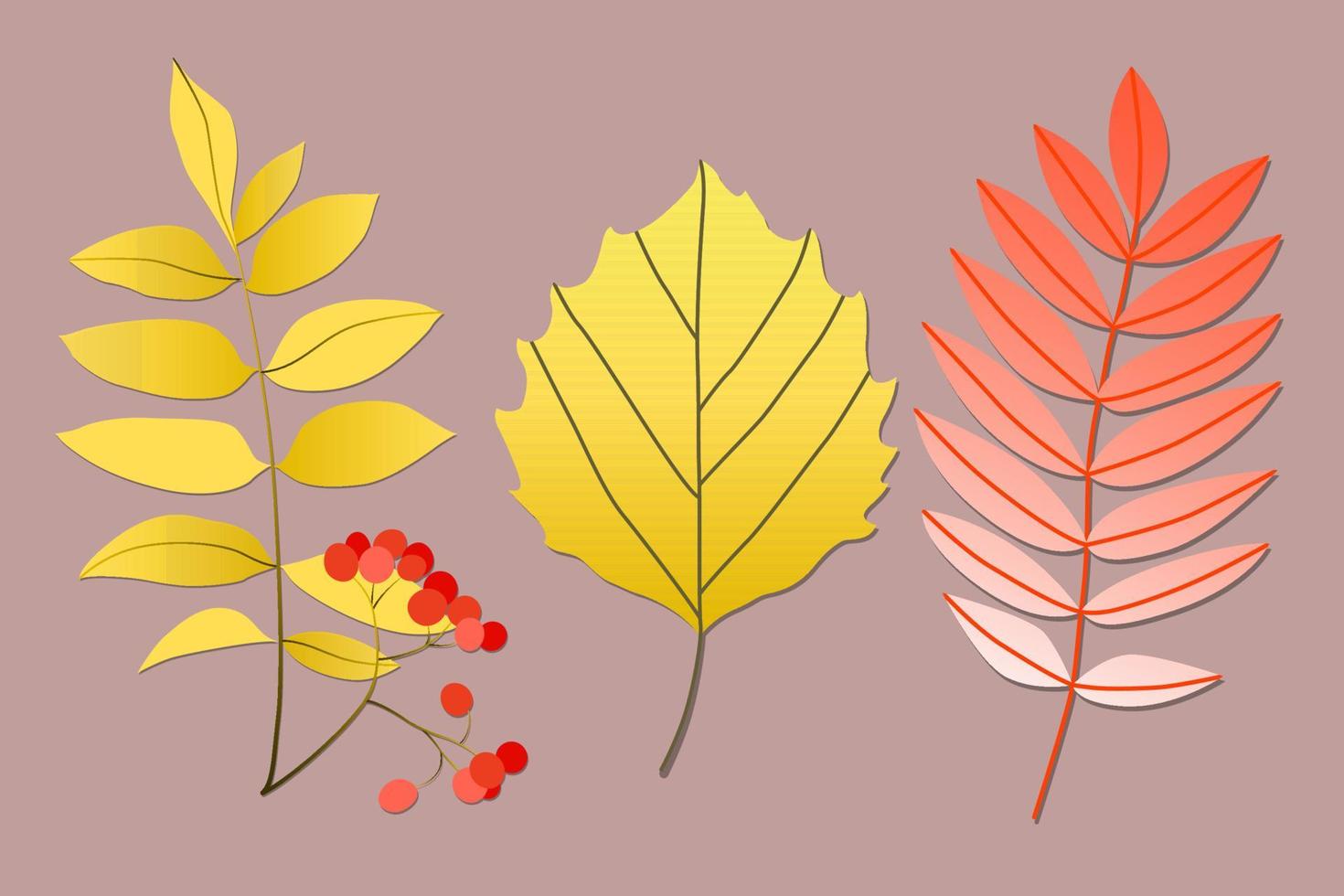 Variety of colorful trendy autumn leaves. Vector illustrations for web, app and print. Elegant shapes floristic isolated gradient leaves. Forest, botanical, minimalistic floral set.