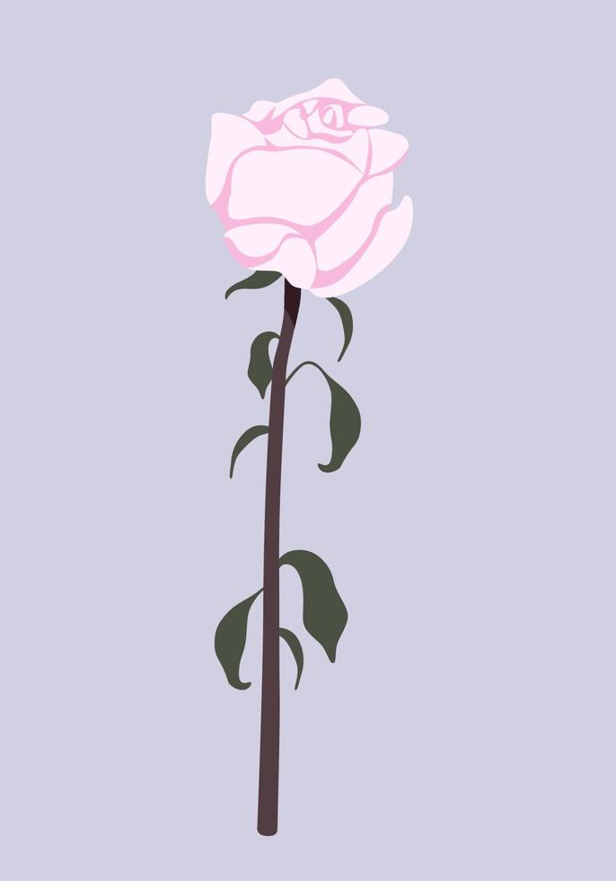 Rose flower drawing. Hand drawn flat floral illustration. Home decor concept. Modern flat drawing for logo, pattern, web and app design. vector