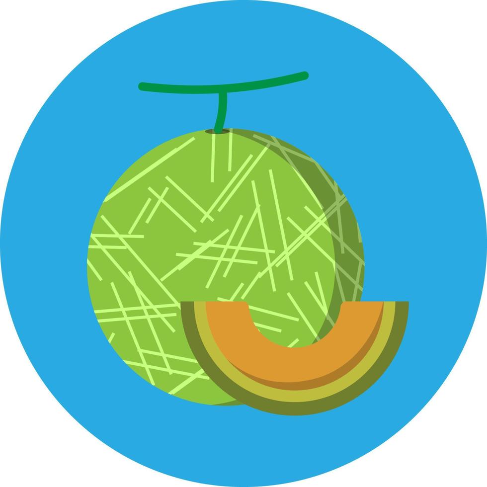 icono plano de fruta de melón vector