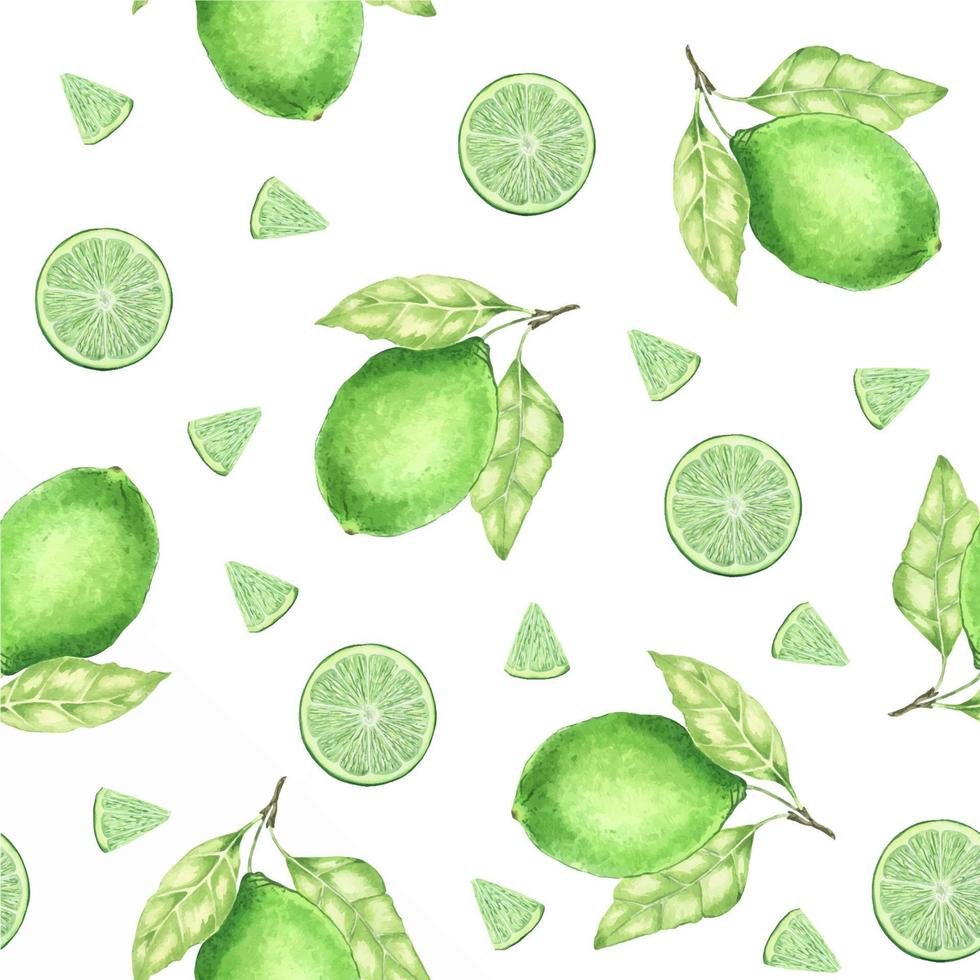 Juicy green lime. Lime slices. Exotic citrus fruit. Watercolor seamless pattern. On a white background. Suitable for textiles, packaging, wrapping, postcards, decoration. vector
