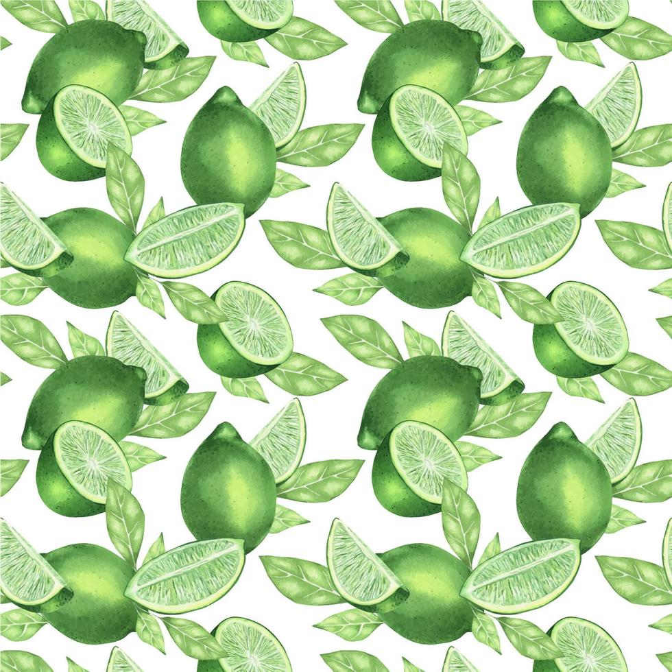 Juicy green lime. Lime slices. Exotic citrus fruit. Watercolor seamless pattern. On a white background. Suitable for textiles, packaging, wrapping, postcards, decoration. vector