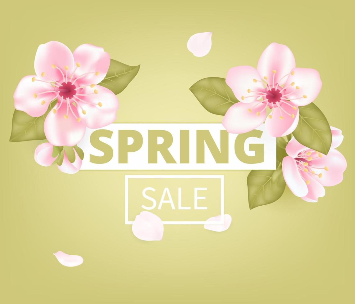 Vector Spring sale banner template with flowers blossom. Cherry pink flower, spring blooming sakura greeting card on the green background. Social media, flyers, invitations, posters, brochures.