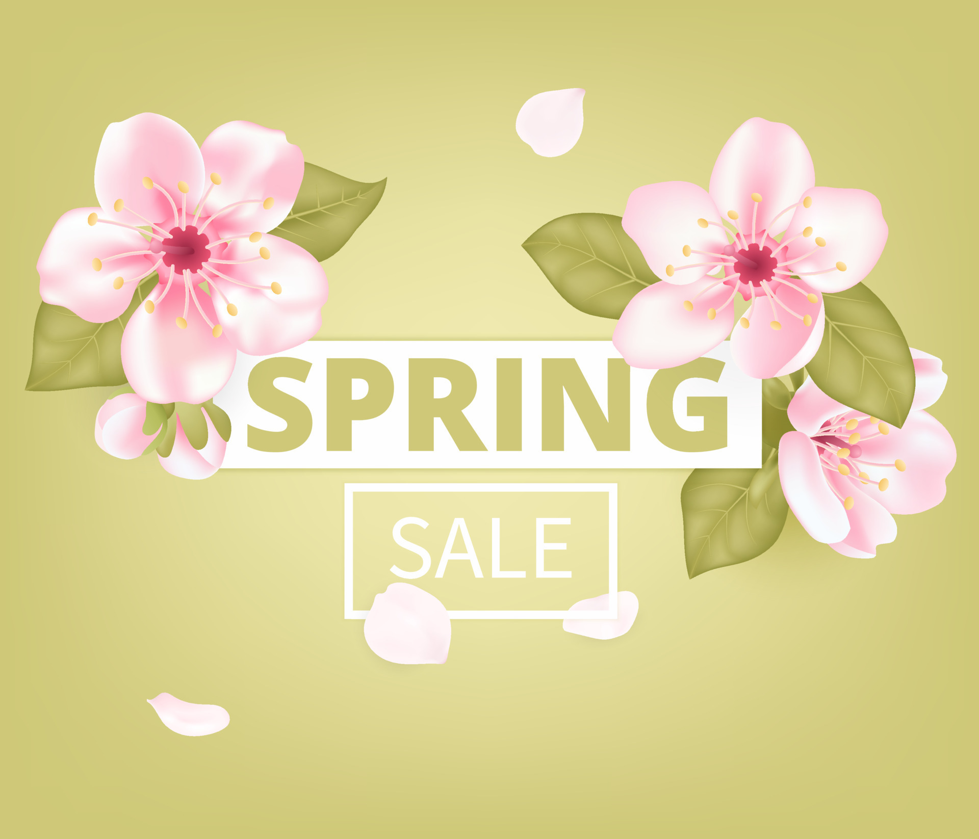 Spring Sale With Flowers. Season Discount Banner Design With Cherry  Blossoms And Petals. Royalty Free SVG, Cliparts, Vectors, and Stock  Illustration. Image 71587740.