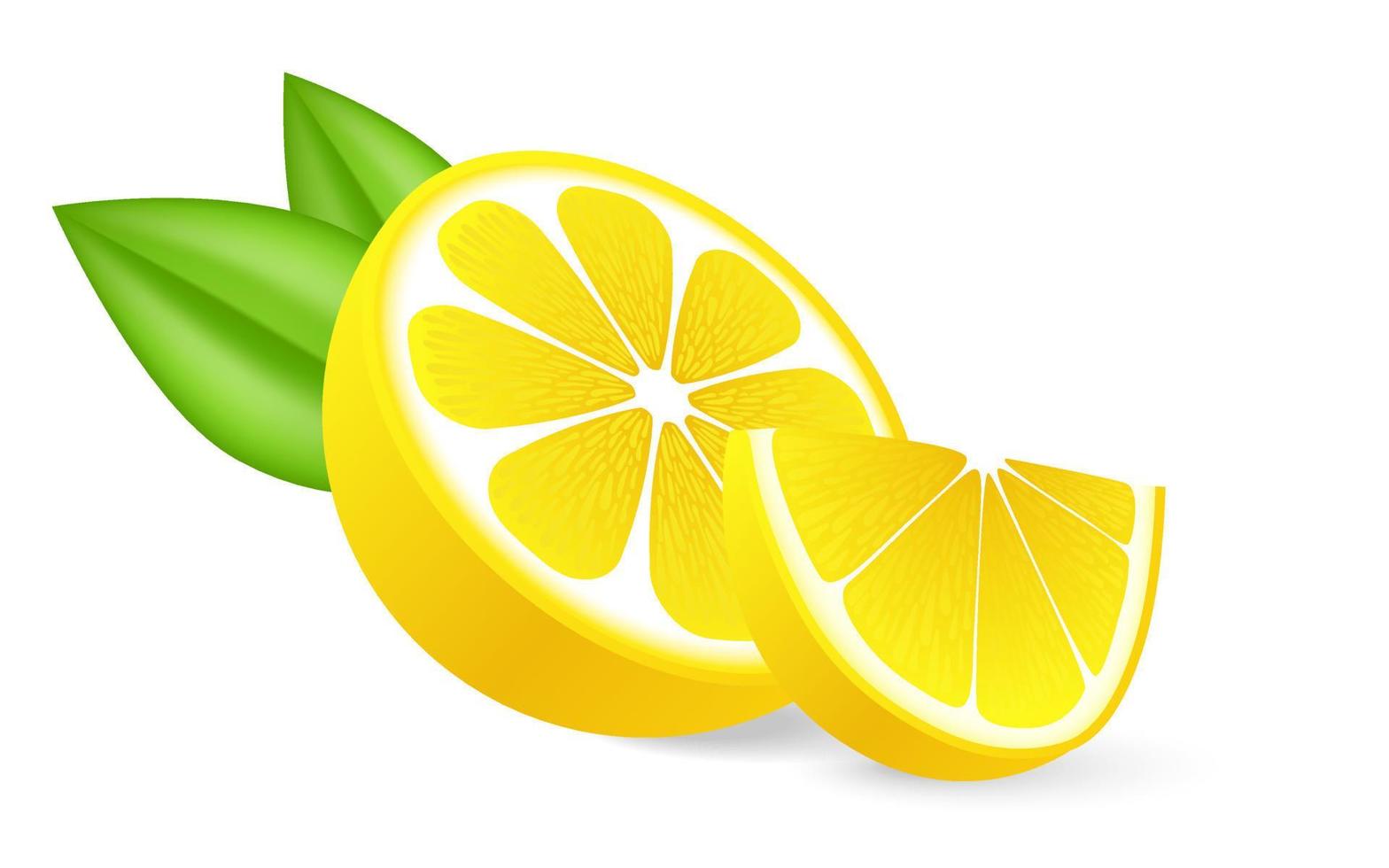 limón realista en rodajas con hoja verde, fruta fresca agria, ralladura de color amarillo brillante, ilustración vectorial de fruta agria de limón aislada en fondo blanco para el mercado de agricultores de diseño de envases de cosméticos y alimentos. vector