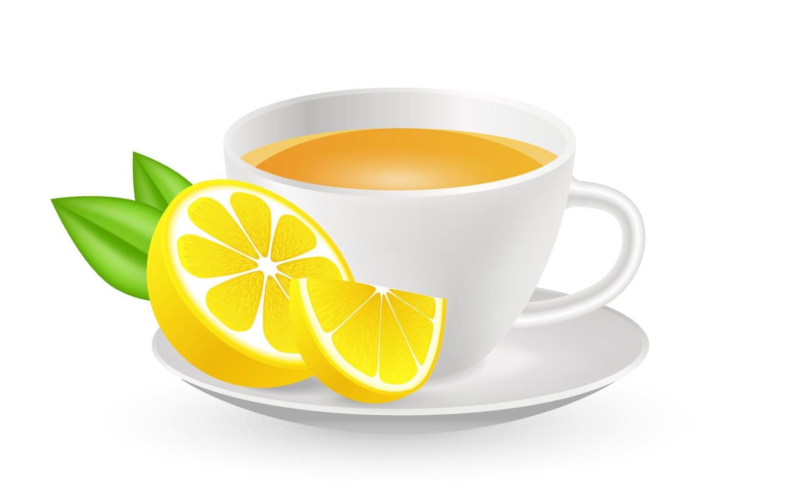 Té verde 3d realista en taza blanca. ilustración vectorial fruta de limón realista. diseño para cafetería, afiches, pancartas, postales. plantilla taza blanca limpia de cerámica con té de limón. bebida de desayuno vector